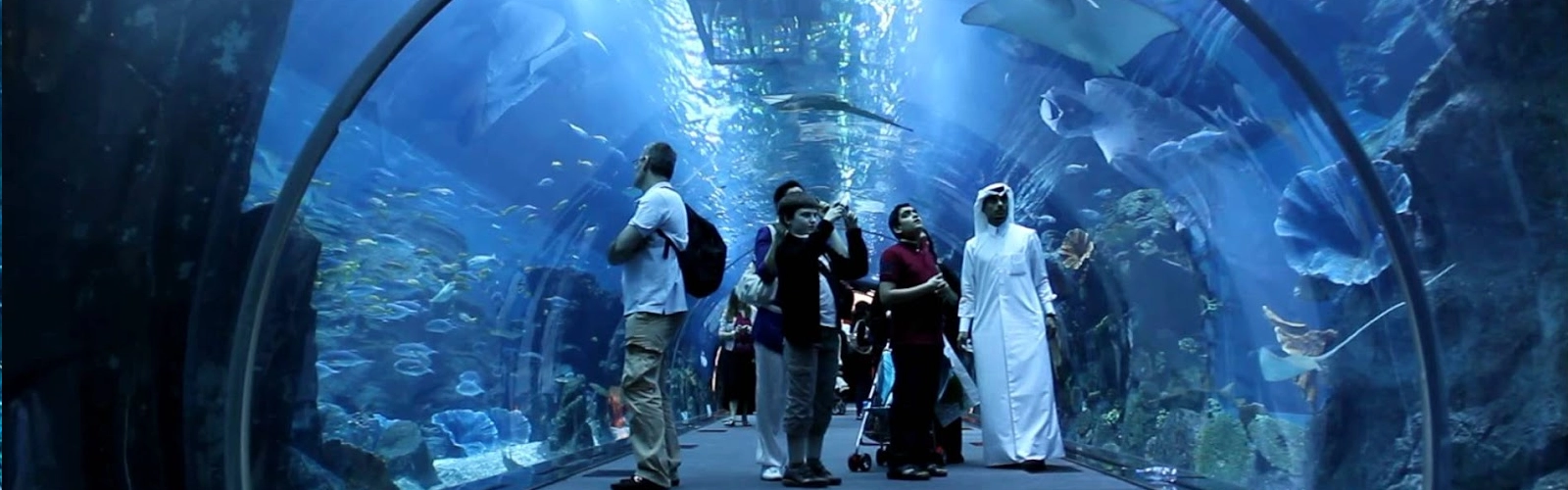 Dubai Aquarium and Underwater zoo 1