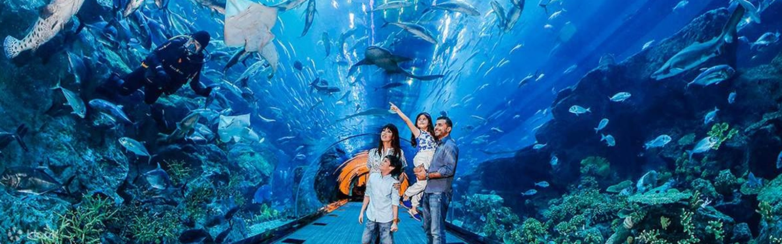 Dubai Aquarium and Underwater zoo