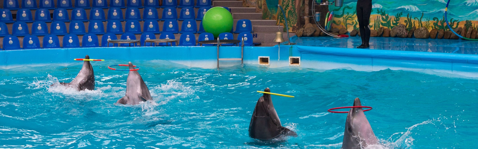 Dubai Dolphinarium 2