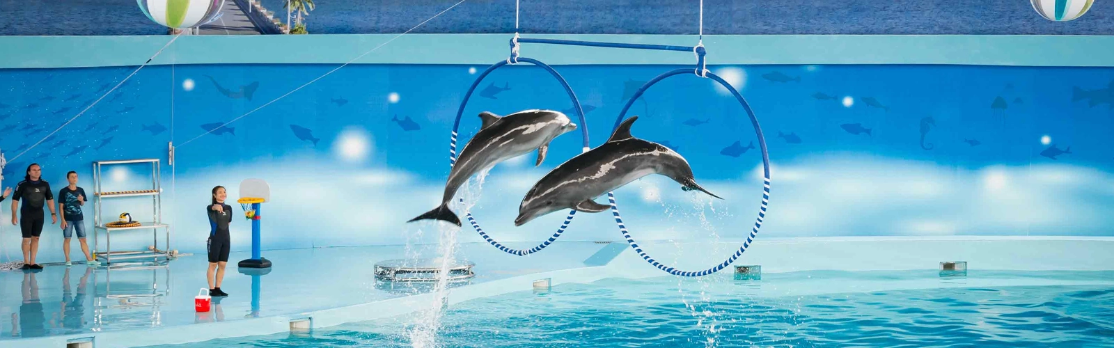 Dubai Dolphinarium 3