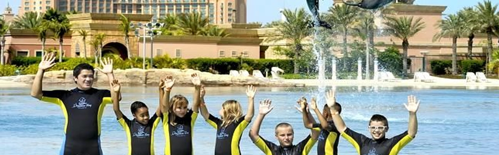 Dubai dolphin