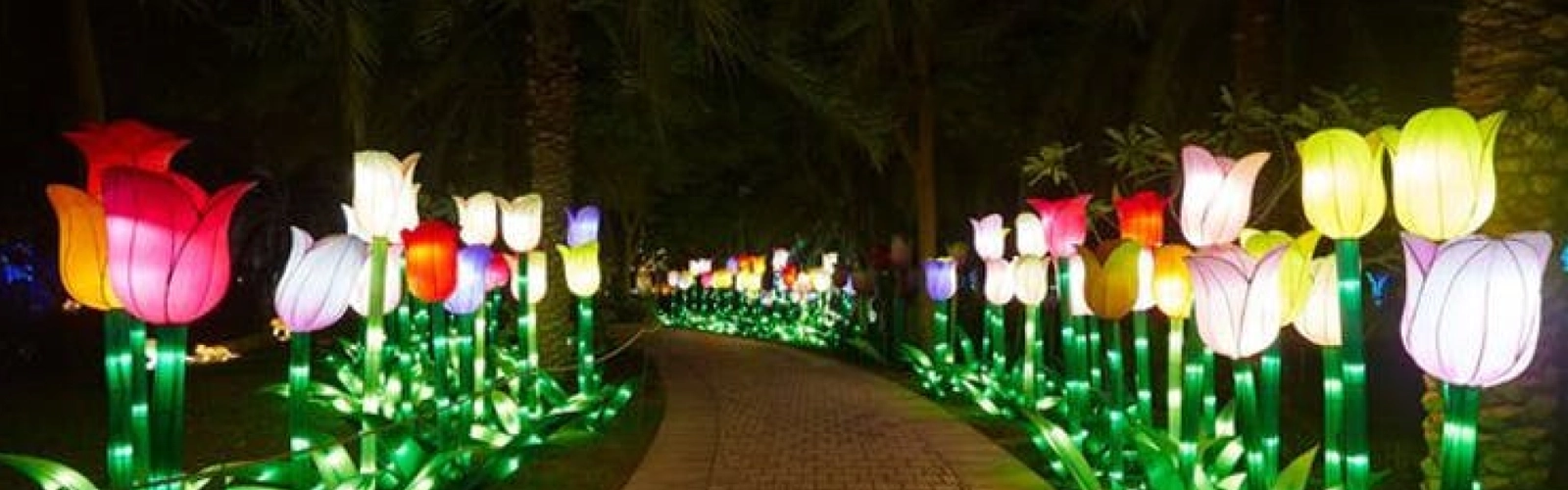 Glow Garden 2