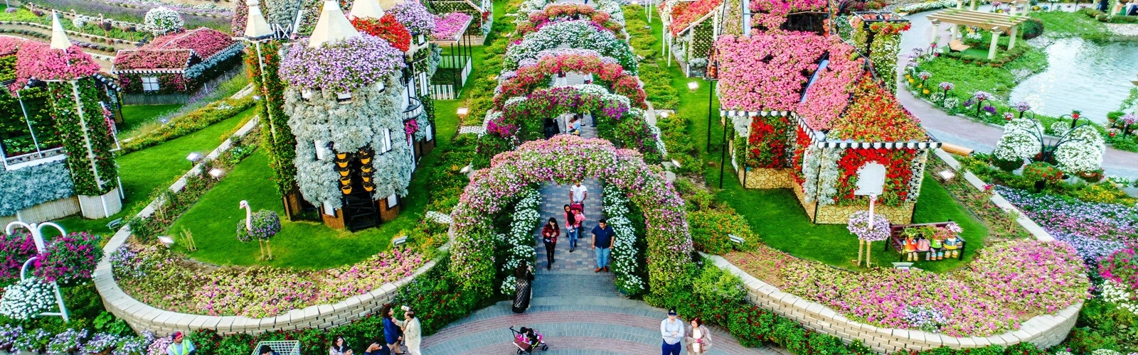 Miracle Garden Dubai 1