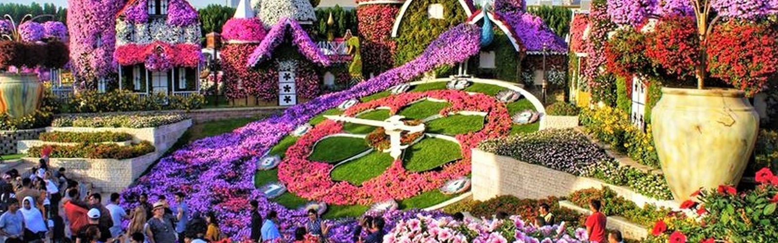 Miracle Garden Dubai 3