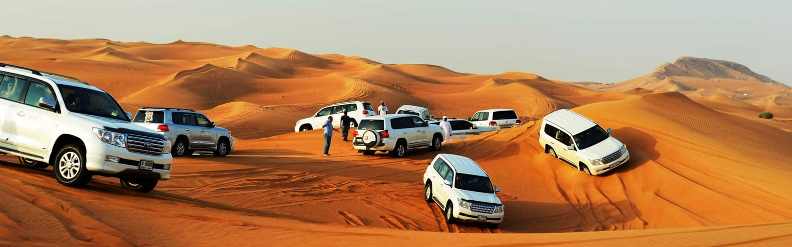 VIP desert safari 1